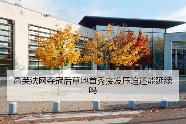 高芙法网夺冠后草地首秀接发压迫还能延续吗