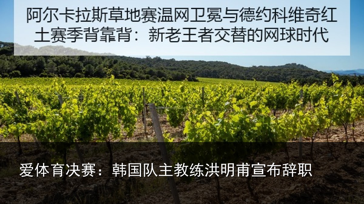 爱体育决赛：韩国队主教练洪明甫宣布辞职